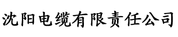 母上攻略续（白虎版）电缆厂logo